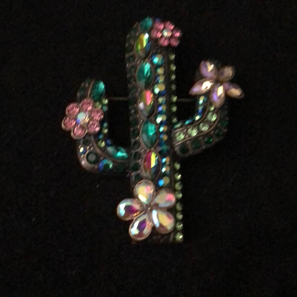 - Beautiful Cactus Broach.